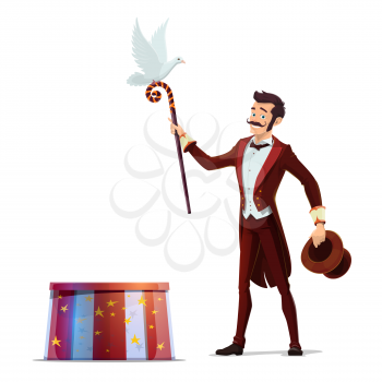 Circus magician performing tricks with top hat, magical wand and white dove bird. Illusionist magic show of carnival amusement, chapiteau event and entertainment vector theme