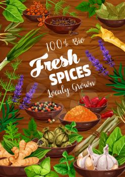 Spices and herbs food ingredients with vegetable seasonings and condiments on wooden background. Vector parsley, mint and basil, chili pepper, garlic and ginger, dill, rosemary, turmeric and anise
