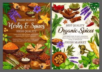 Herbs and spices, grocery store or seasonings shop. Vector basil and vanilla, pepper and cinnamon, nutmeg and cardamom, anise and ginger, celery and garlic. Poppy and bay leaf, saffron and lavender