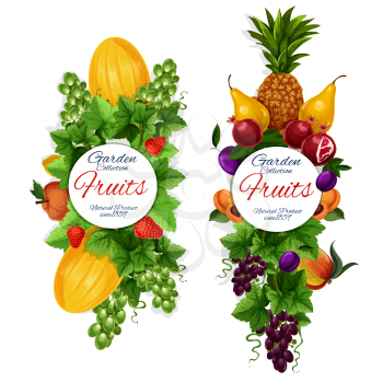 Fresh natural fruits icons, garden harvest. Vector pineapple and melon, pomegranate and peach, strawberry and grapes, pear and plum, apricot and nectarine. Vegetarian food, organic farming, isolated