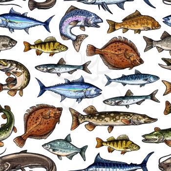Fish sketch seamless pattern. Vector fishing marlin, scad or horse mackerel, scomber or anchovy and tuna, sardine and sea bass or dorada bream, salmon and flounder or pike fish pattern background