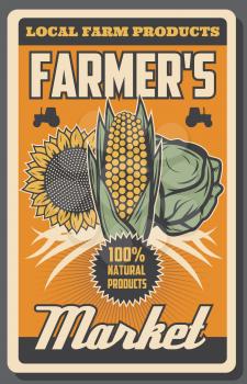 Farm harvest of organic vegetables farming and gardening. Vector vintage poster with tractors, farmer organic corn, natural sunflower and cabbage food products