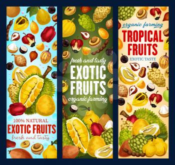 Exotic tropical fruits banners. Vector pandanus, durian or persimmon and tamarind, sapodilla or cashew apple with pomelo citrus and tangerine, bergamot or physalis and kiwano or kumquat