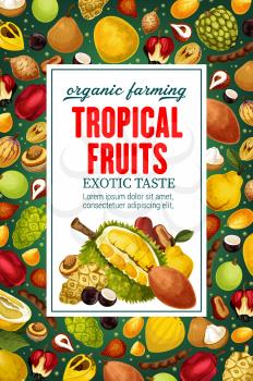 Exotic tropical fruits, whole and cut. Vector durian and cherimoya, mangosteen and quince, litchi and pomelo, sapodilla and sugar apple. Ackee and tamarind, noni and canistel