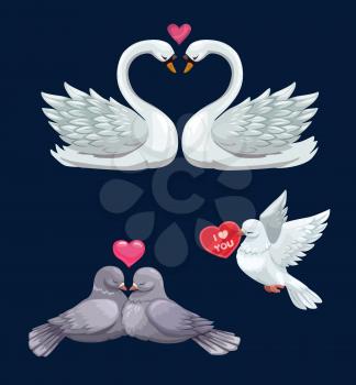 Valentines Day birds couples in love vector icons of white swans, dove and pigeons with hearts. February holiday of romantic love and romance, greeting card or wedding invitation design