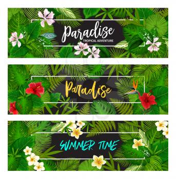 Exotic palm green leaf frame with jungle hibiscus, plumeria and strelitzia flower. Summer time paradise and tropical adventure floral banner. Summer vacation or travel theme design