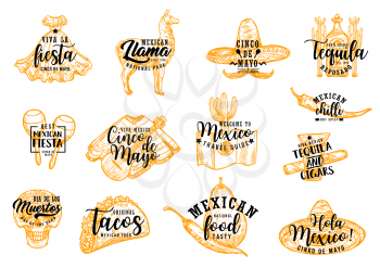 Cinco de Mayo Mexican holiday fiesta party vector icons with lettering. Chili pepper, tequila margarita and maracas, sombrero hat, food and guitar, cactus, skull and costume sketches