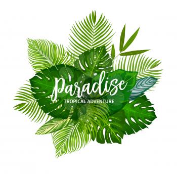 Tropical palm leaves poster. Summer vacation and exotic travel themes design. Monstera, banana tree and fan palm green foliage