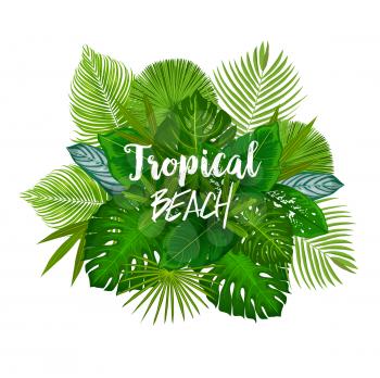 Tropical beach poster with bunch of green palm leaves. Leaf of exotic tree and jungle plant with monstera, fan palm, banana tree and fern for summer vacation and holidays design
