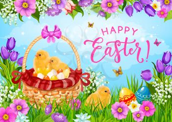 Easter basket with eggs, chicks and spring flowers vector greeting card. Christian religion holiday painted eggs, chickens and green grass, butterflies, daffodils and tulips, Resurrection Sunday theme