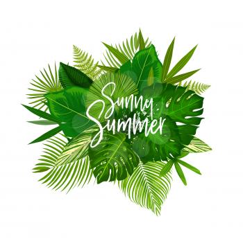 Exotic Sunny Summer poster with green leaves of tropical palm tree. Beach party invitation or summertime season holidays greeting card with monstera, fern and fan palm foliage