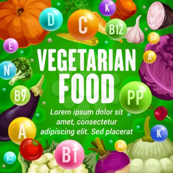 Vegetarian food vitamins and minerals vector poster with vegetables and seasonings. Fresh broccoli, carrot and tomato, garlic, cabbage and sweet potato, eggplant, pumpkin and corn veggies