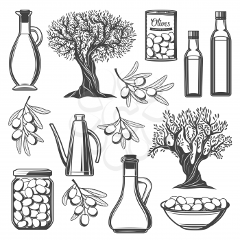 Olive vector icons with oil bottles, olive branches and tree, can, bowl and jar with fresh and pickled fruits. Vegetarian food, salad seasonings and mediterranean cuisine snack monochrome signs design