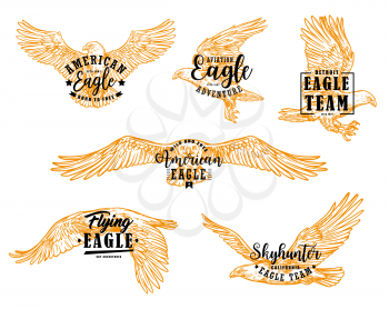 Eagle bird sketches with letterings. Vector hawk, falcon or american eagle spread wings, flying birds of prey heraldic emblems and mascots design