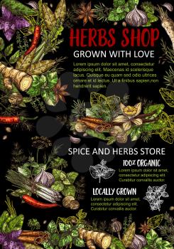 Herbs, condiments and spices store vector. Seasoning ginger and basil, dill, parsley, bay leaves and vanilla, cinnamon and chili pepper, mint and poppy, cilantro and coriander flavorings