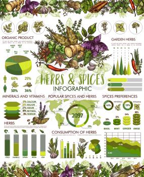 Herbs and spice infographic, cooking seasonings. Vector anise star and basil, mint and chili pepper, rosemary and parsley charts, garlic and ginger, dill and cinnamon, vanilla and lavender