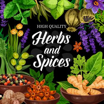 Herbs and spices poster, farm condiment or seasonings shop. Vector ginger and pepper mix, lavender and parsley, arugula and poppy, mint and bay leaf. Condiments and flavorings for cooking