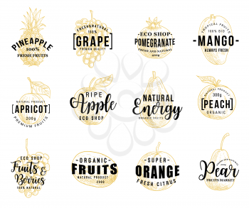 Fruits and berries silhouettes sketches with lettering, vector. Pineapple and grape, pomegranate and mango, apricot and apple, peach and orange, kiwi or pear. Natural vegetarian food vector