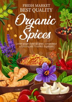 Organic spices and herbs market store or shop. Vector lavender and ginger, garlic and turmeric, basil and olive, chili and bell pepper, parsley and dill. Condiments and seasonings for cooking