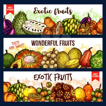 Exotic fruits vector sketch banners. Bergamot and cashew, jackfruit and sugar apple, chompoo and soursop, longkong and dacryodes, citron and cocona, lucuma nad naranjilla, cherimoya and pandan fruit