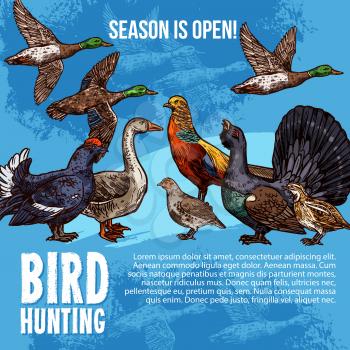 Birds hunt open season vector poster. Hunting sport adventure design of wild birds duck and peacock, grouse or blackcock and capercaillie with goose, quail and hazel-hen, pheasant and partridge