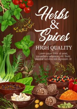 Herbs and spices, culinary ingredients and cooking herbal spicy seasonings. Vector garlic, basil or Indian turmeric curcuma and saffron, celery or tomato and poppy seed with anise and chili pepper