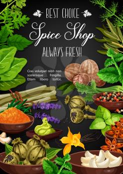 Herbs and spices poster of culinary ingredients and cooking herbal seasonings. Vector garlic and nutmeg, basil or celery, poppy seed and anise star, chili pepper, Indian turmeric curcuma and saffron