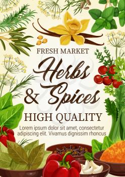 Herbs and spices farm market vector poster, natural culinary ingredients and cooking seasonings. Vector vanilla, basil or bell pepper, tomatoes and bay leaf, celery and garlic, tarragon and rosemary