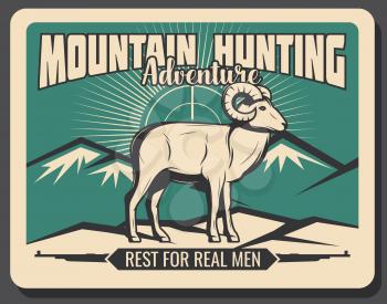 Mountain goat hunting. Adventure poster of hunt club or hunter training society and open season. Vector retro wild mountain goat or sheep animal, rifle guns and mountains