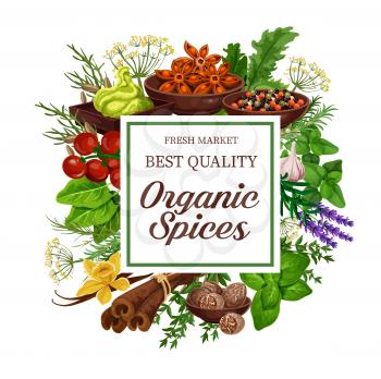 Spices and herbs of organic seasonings. Vector wasabi, anise or tomato and basil, vanilla or ginger and chili pepper with garlic, parsley or dill and lavender, for cooking book cover