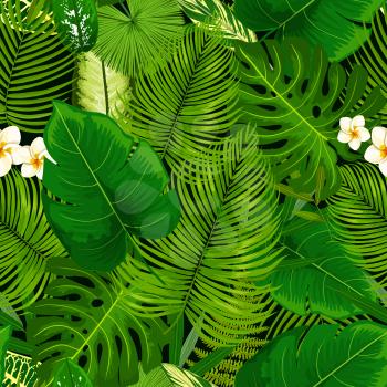 Tropical leaf and flowers seamless pattern. Vector background of green exotic plumeria blossom, banana palm, areca or monstera leaves and fern plant, cyperus or bamboo foliage