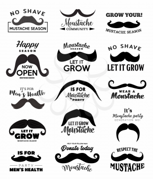 Moustache november month vector symbols of men health and prostate cancer awareness. Black curved mustaches with hand drawn lettering, charity campaign emblems design