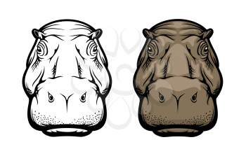 Hippopotamus wild African animal or hippo isolated icon. Vector hippopotamus realistic head muzzle, safari zoo or hunting trophy animal and sport club mascot sign