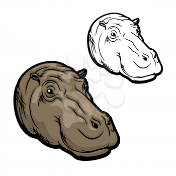 Hippopotamus head, hippo muzzle side, wild African animal icon. Vector hippopotamus realistic head, safari zoo or hunting trophy animal and sport club mascot sign