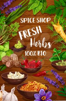 Herb and spice vector condiments, culinary plants and aromatic flowers. Garlic, green basil and rosemary, parsley, pepper and oregano, onion, sage and bay leaf, dill, lavender and mint seasonings