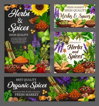 Spices, cooking flavoring herbs and herbal seasoning. Vector culinary condiments sunflower, lemongrass or turmeric and ginger, vanilla or cinnamon and natural garlic and anise with sage and olives