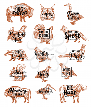 Hunting and open season club hunt animals sketch lettering icons. Vector wild birds duck and partridge or woodcock, badger or fox and dog, buffalo and bison bull, lyx or pheasant and squirrel
