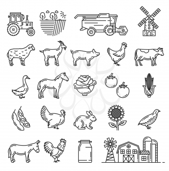 Agriculture farming, cattle farm and agrarian icons Vector isolated farmer harvesting tractor, wheat or rye barn mill, vegetables, cow or horse and sheep lamb or hen chicken and goose
