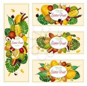 Exotic natural tropical fruits banners. Vector organic farm market jackfruit, jabuticaba or morinda, tamarind and akcee apple, tropical salak or pomelo citrus and pepino with quince pear and maruba