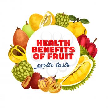 Exotic tropical fruits harvest of tropic durian, cherimoya or sweetsops and santol. Vector banner of organic farm ackee apple, pomelo citrus or quince pear and kumquat or ambarella fruits