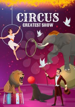 Circus show, acrobatics and magic, trained animals. Vector female aerial acrobat in hoop and magician with doves, elephant on sphere and seal with ball. Wild lion, stage performance, round arena