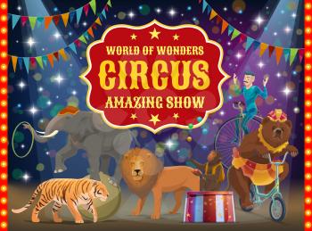 Big top circus show, trained animals and acrobat, performance. Vector tiger and lion, bear on bicycle and monkey juggler, elephant on ball with hoop. Man in costume on unicycle, arena or stage
