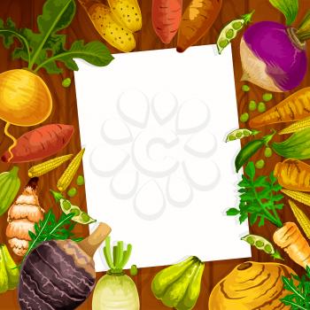 Cooking recipe blank page in root vegetables or veggies frame. Vector white note in kaywa, rutabanga or apium and parsnip tuber with arracacia and cassava or sweet potato and artichoke