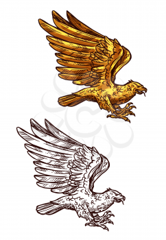 Eagle, falcon, hawk or phoenix sketch of golden bird flying with raised wings. Falconry hunting emblem, vintage royal heraldry element or tattoo vector design