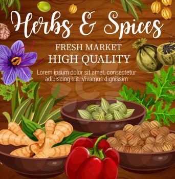 Herbs, spices and vegetables, food seasonings and condiments on wooden background. Vector parsley, pepper and ginger root, oregano, saffron flower and basil, cardamom, nutmeg and coriander seed