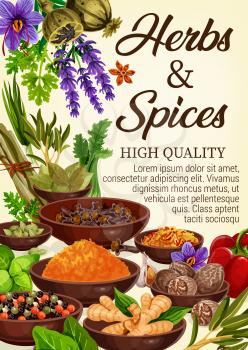 Spices, condiments and seasonings with culinary herbs of grocery store. Vector pepper, garlic and parsley, saffron, nutmeg and cardamom, ginger root, clove and rosemary, lavender and poppy flower seed