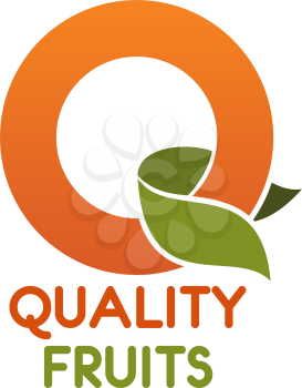 Letter Q icon for quality fruits shop or organic food and juice drink package design. Vector orange fruit and leaf letter Q symbol for farm market or nutrition industry company