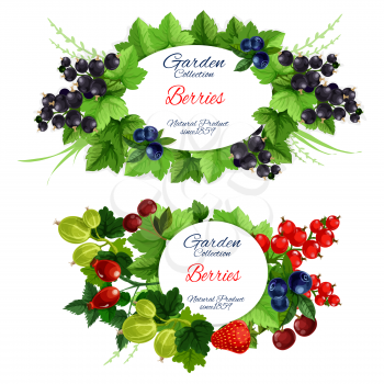 Fruits and berries garden harvest posters isolated. Green leafy branches with round badge for natural organic food vector. Strawberry and raspberry, blueberry and red currant, gooseberry and briar
