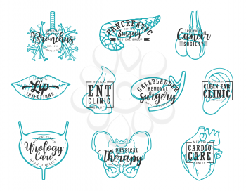 Medical clinic lettering, human body organs calligraphy. Vector medicine surgery and healthcare center, bronchus or pancreatic disease diagnostic, ear and cardio or urology therapy treatment