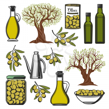 Green olives and olive oil icons. Vector extra virgin olive oil bottle, marinated pickles in glass jar and can, natural organic olives food, premium quality food package symbols